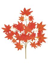 Gałązka jesienna D