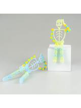 Giętki szkielet - świecący w ciemności