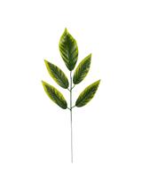 Dekoracyjna gałązka z liśćmi