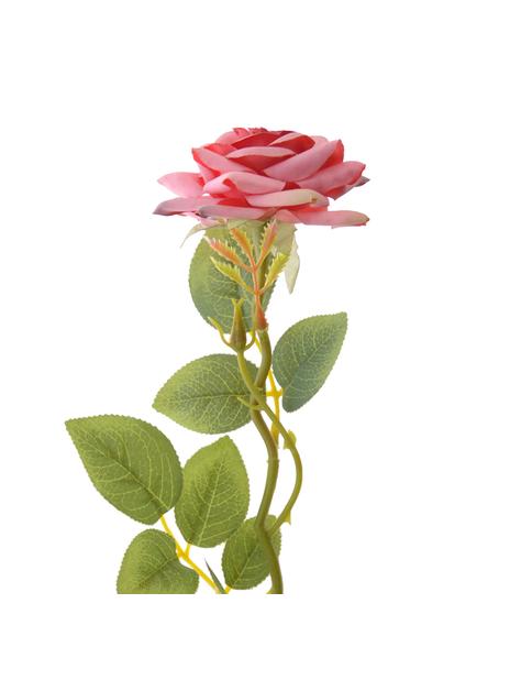 Róża z kolcami LUX