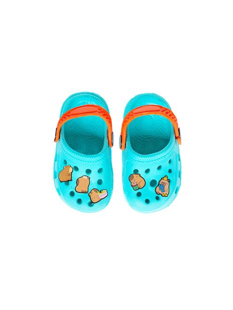 Przypinki do butów - kapibara (5 szt.)