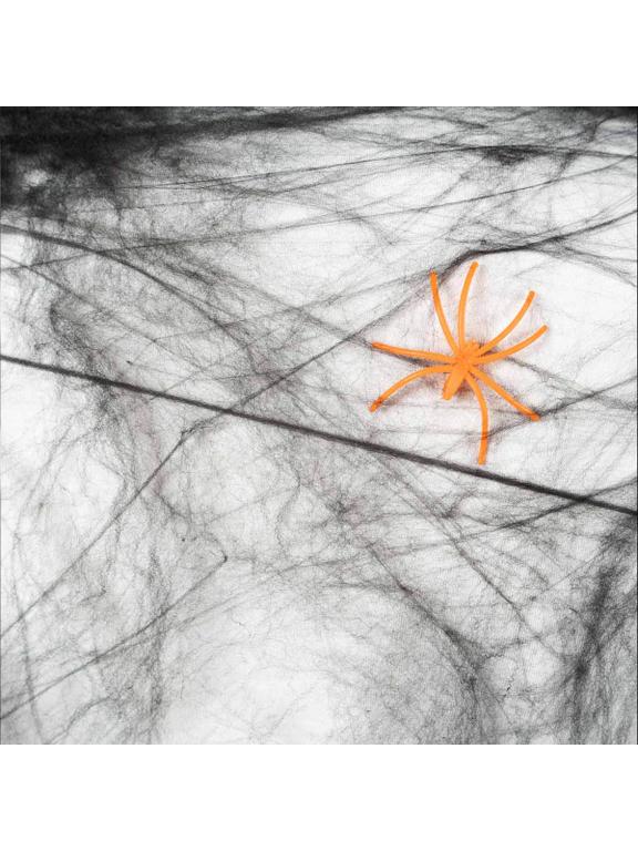 Czarna pajęczyna z pająkiem