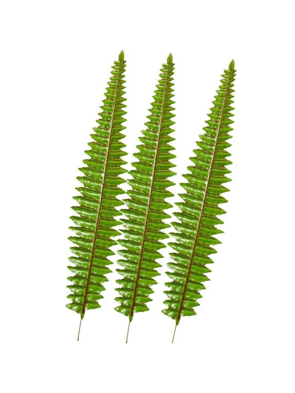 Liście paproci (3 szt.)