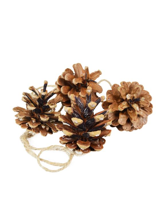 Szyszki naturalne (4 szt.)