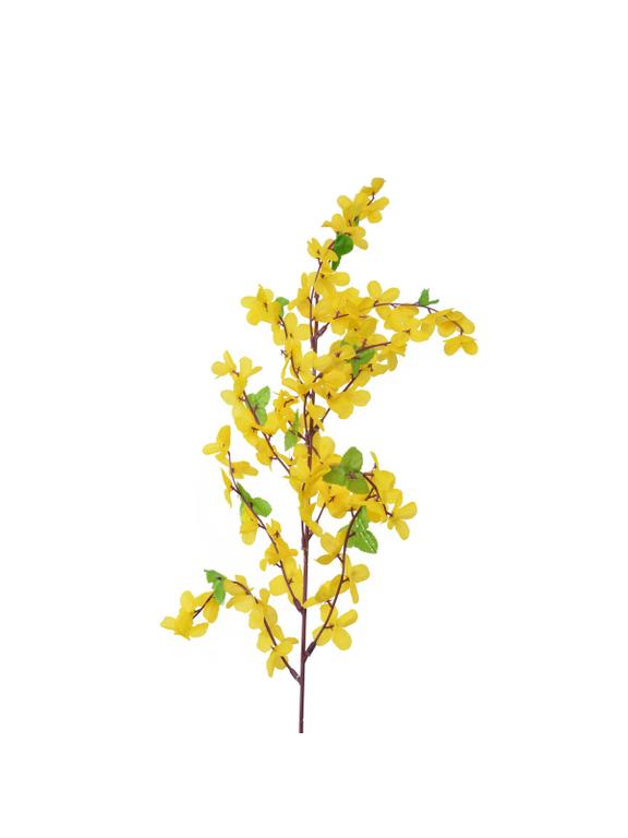 Gałązka forsycji z liśćmi