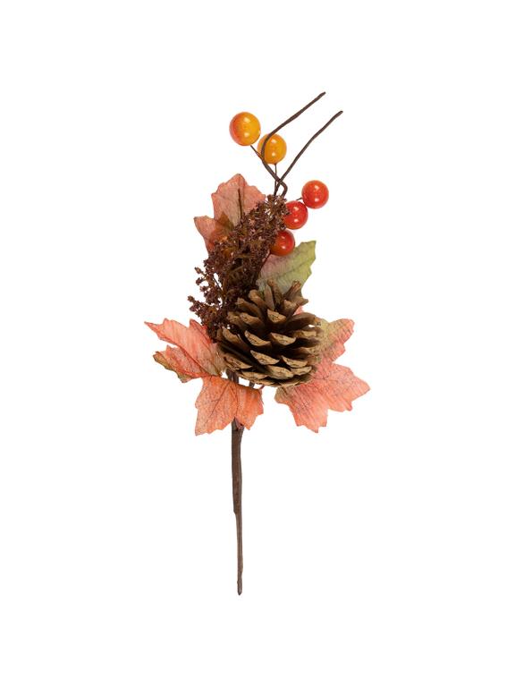 Gałązka jesienna z szyszką