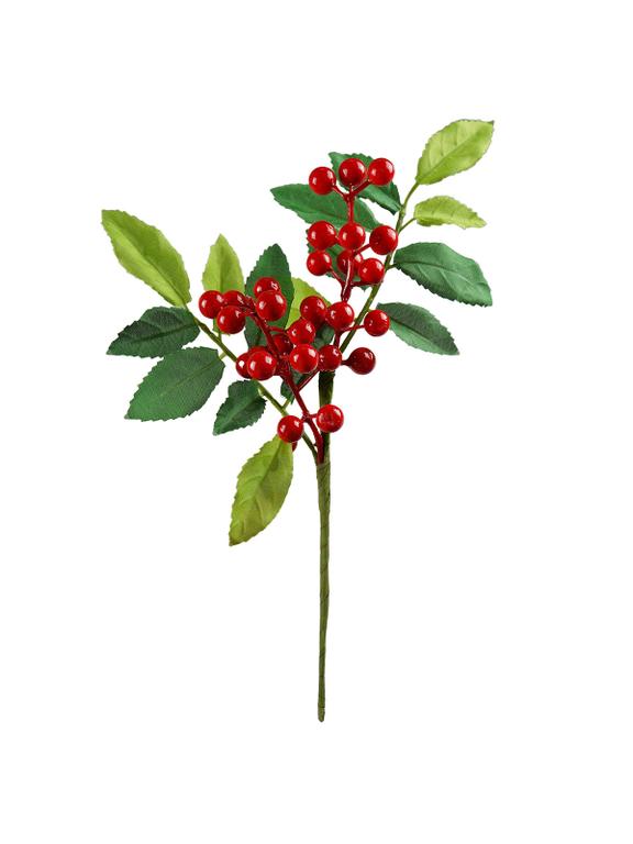 Zimowa gałązka z jagodami