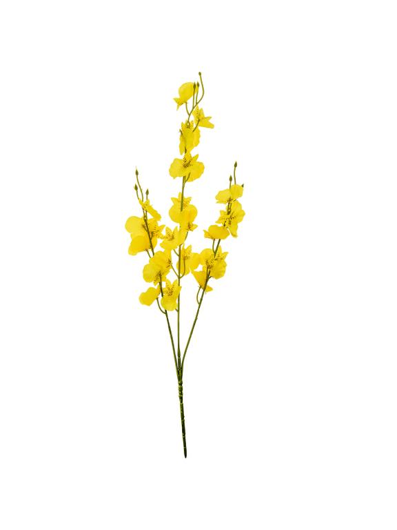 Gałązka storczyk mini