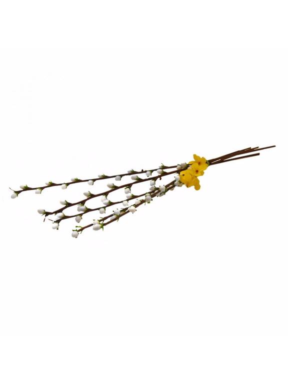 Bazie duże z listkami 50 cm