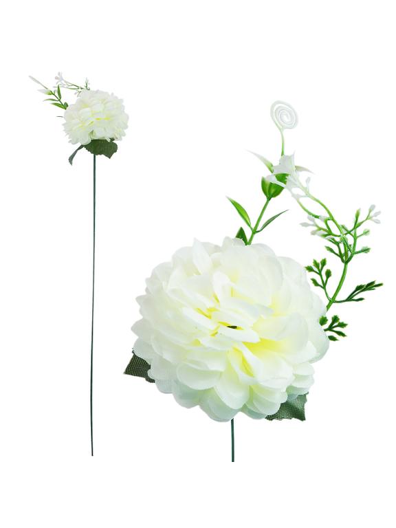 Chryzantema z liściem