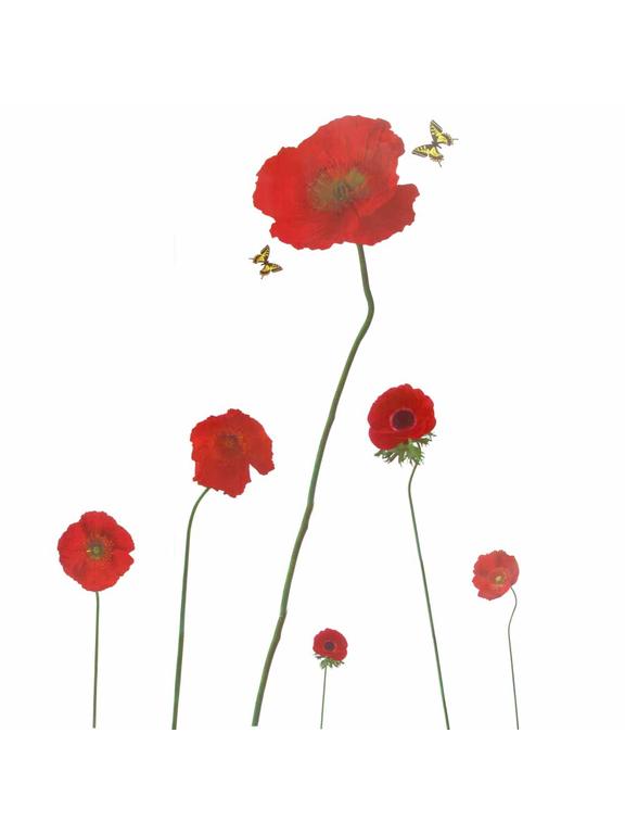 Dekoracja ścienna 50x70 cm PROMOCJA